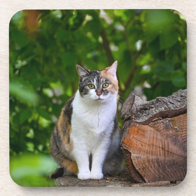 Die Katze    Getränkeuntersetzer (Vorderseite)