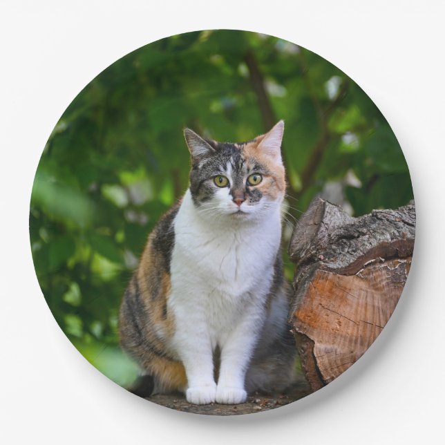 Die Katze Pappteller (Vorderseite)