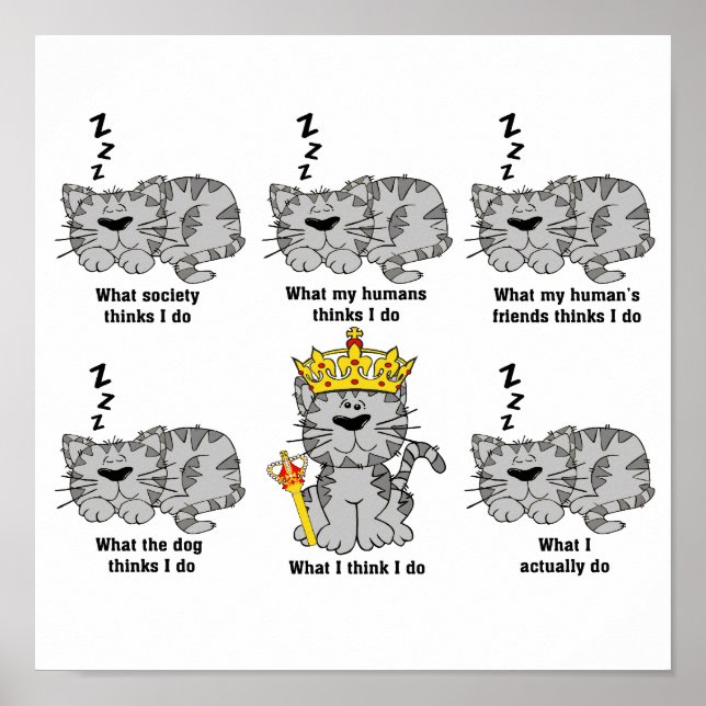 Die Katze Poster (Vorne)