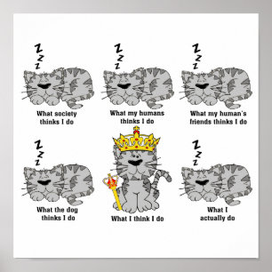 Die Katze Poster