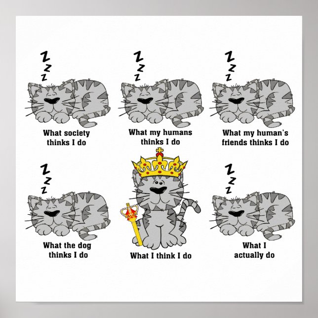 Die Katze Poster (Vorne)