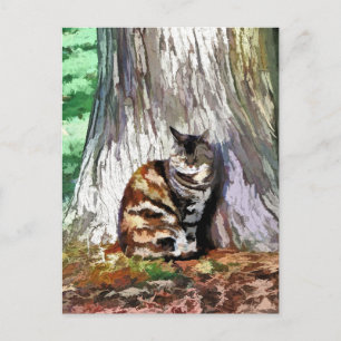 Die KATZE Postkarte