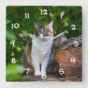 Die Katze Quadratische Wanduhr