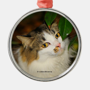 Die Katze und die Kamelie Ornament Aus Metall