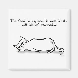 Die Katze verlangt frisches Essen - Funny Cat Magn Magnet