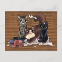 Die Katzen des Schriftstellers