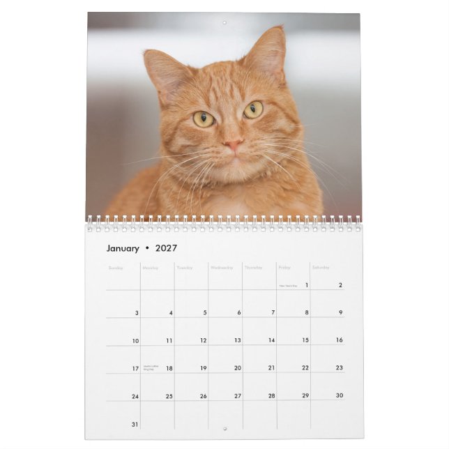 Die Katzen im Kinderwagen 2014 Kalender (Jan 2027)