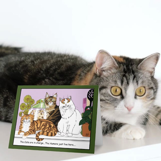 Die Katzen sind verantwortlich Karte (Von Creator hochgeladen)