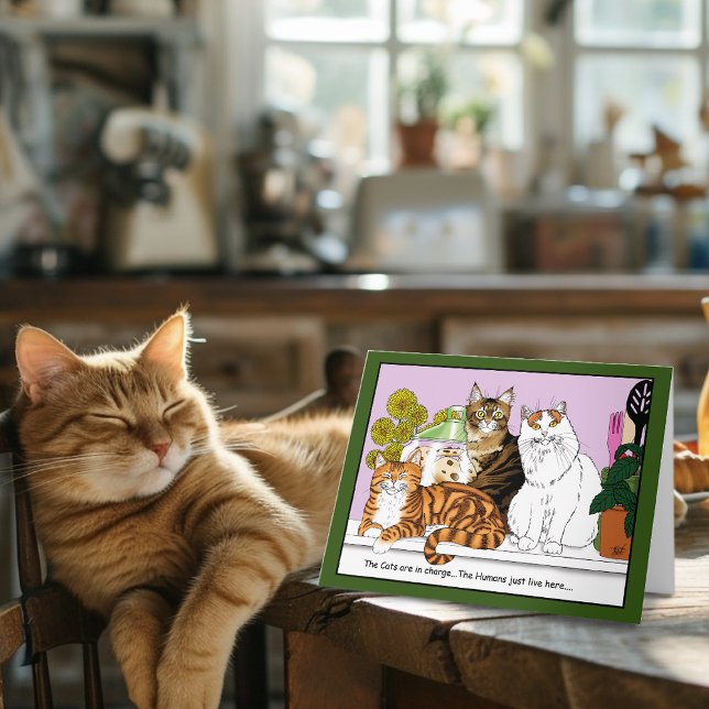 Die Katzen sind verantwortlich Karte (Von Creator hochgeladen)