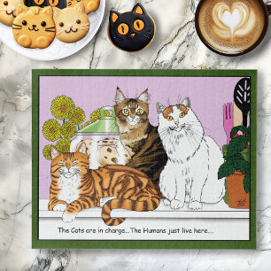Die Katzen sind verantwortlich Puzzle