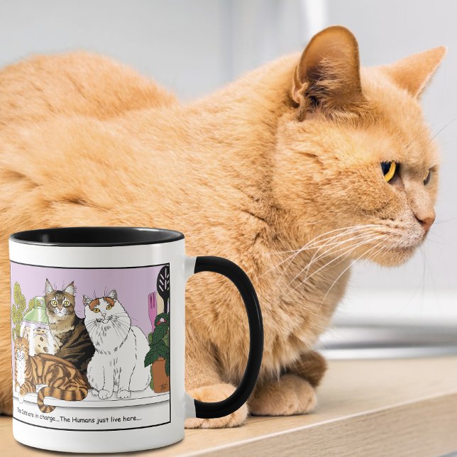 Die Katzen sind verantwortlich Tasse (Von Creator hochgeladen)