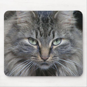Die Katzenaugen haben es Mousepad