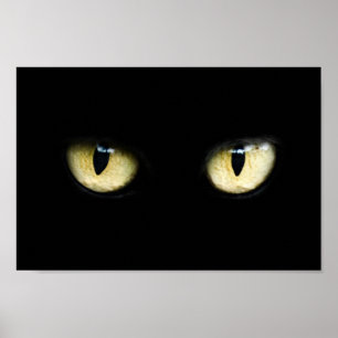 Die Katzenaugen Poster