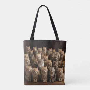 die Katzenfamilie