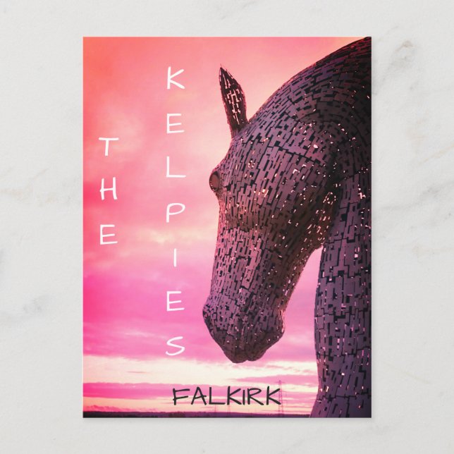 Die Kelpies Postcard, der Helix Park, Falkirk, Sch Postkarte (Vorderseite)