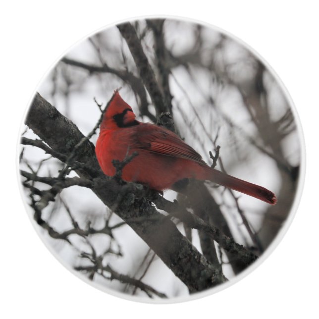 Die Keramikknauf (Vorderseite)