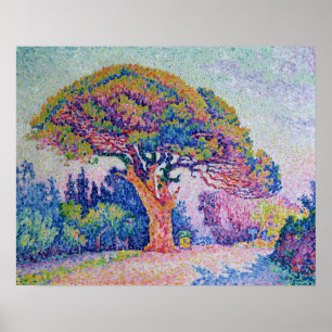 Die Kiefer in St Tropez, 1909 Poster