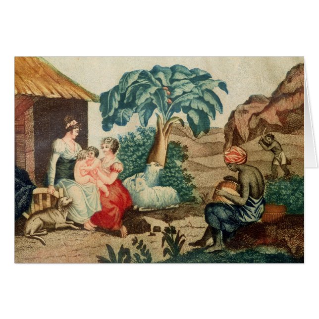 Die Kindheit von Paul und von Virginie (Vorderseite (Horizontal))