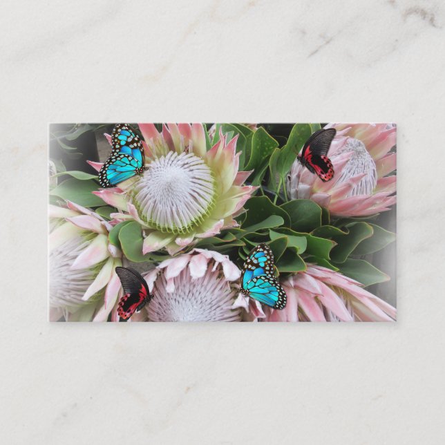 Die King Protea Business Card Visitenkarte (Vorderseite)