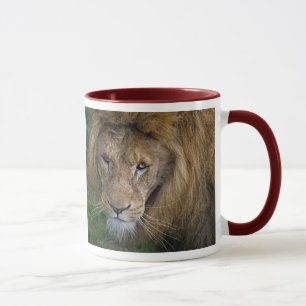 Die King-Tasse Tasse