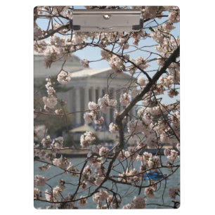 Die Kirschblüten blühen in Washington DC Klemmbrett