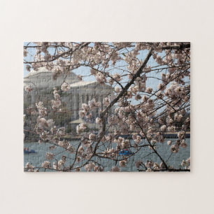 Die Kirschblüten blühen in Washington DC Puzzle
