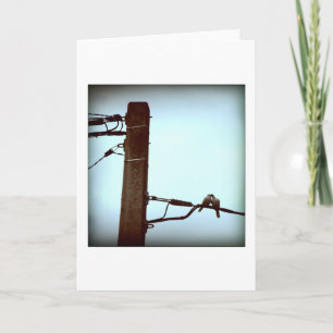 DIE KISS-Karte Feiertagskarte