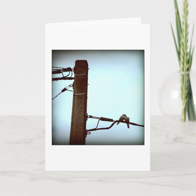 DIE KISS-Karte Feiertagskarte (Vorderseite)