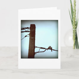 DIE KISS-Karte Feiertagskarte