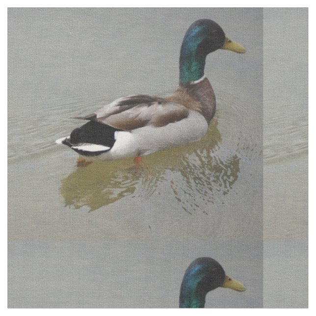 DIE KLASSISCHE STOCKENTEN-ENTE STOFF (Nahaufnahme)
