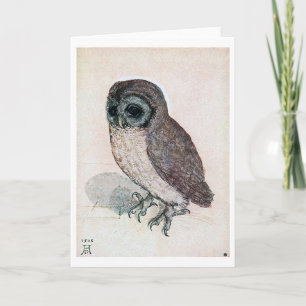 Die kleine Eule, Albrecht Durer Karte