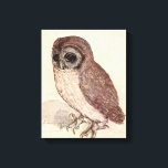 Die kleine Eule | Albrecht Dürer Leinwanddruck<br><div class="desc">Die kleine Eule (1506) | Albrecht Dürers The Little Owl (ca. 1508) ist ein fein detailliertes Aquarell- und Gouache-Gemälde, das eine lebensechte Darstellung einer kleinen Eule auf einer Oberfläche zeigt. Dürers außergewöhnliche Liebe zum Detail erfasst die strukturierten Federn des Vogels und den Alarmausdruck, das Set vor einem schlichten Hintergrund, der...</div>