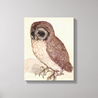 Die kleine Eule | Albrecht Dürer Leinwanddruck