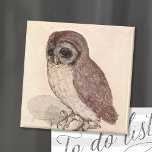 Die kleine Eule | Albrecht Dürer Magnet<br><div class="desc">Die kleine Eule (1506) | Albrecht Dürers The Little Owl (ca. 1508) ist ein fein detailliertes Aquarell- und Gouache-Gemälde, das eine lebensechte Darstellung einer kleinen Eule auf einer Oberfläche zeigt. Dürers außergewöhnliche Liebe zum Detail erfasst die strukturierten Federn des Vogels und den Alarmausdruck, das Set vor einem schlichten Hintergrund, der...</div>