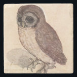 Die kleine Eule durch Albrecht Dürer-Quadrat Steinuntersetzer<br><div class="desc">"Die kleine Eule", malend durch Albrecht Dürer, 1508.
Albrecht Dürer, 1471 - 1528, war ein deutscher Maler, ein Engraver, ein Druckhersteller, ein Mathematiker und ein Theoretiker. Er ist als der bestste Künstler der Nordrenaissance angesehen worden.</div>