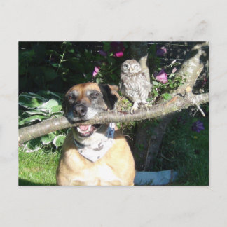 Die kleine Eule und der große Hund Postkarte