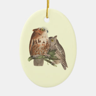 Die kleine Kochschale (Bubo asio) Keramik Ornament