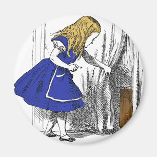 Die kleine Tür Magnet