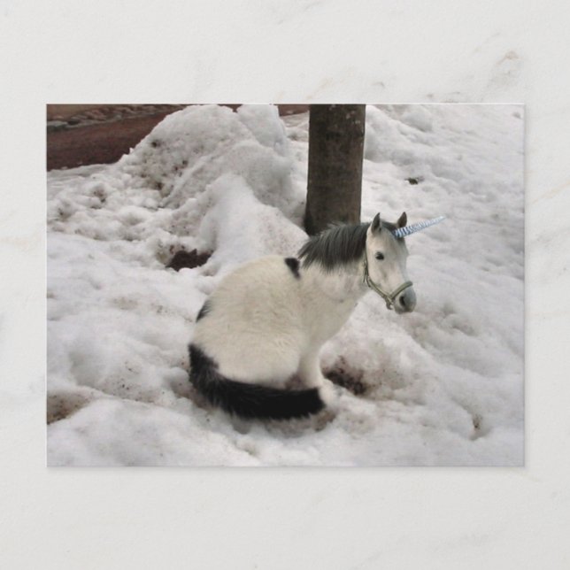 Die kleine Unikat Postkarte (Vorderseite)