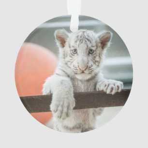 Die kleinen Jungen - Ornament