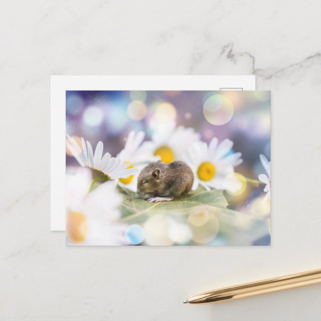 Die Kleinigkeiten Postkarte (Vorderseite/Rückseite Beispiel)