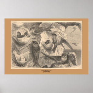 Die Klippe verschluckt Poster