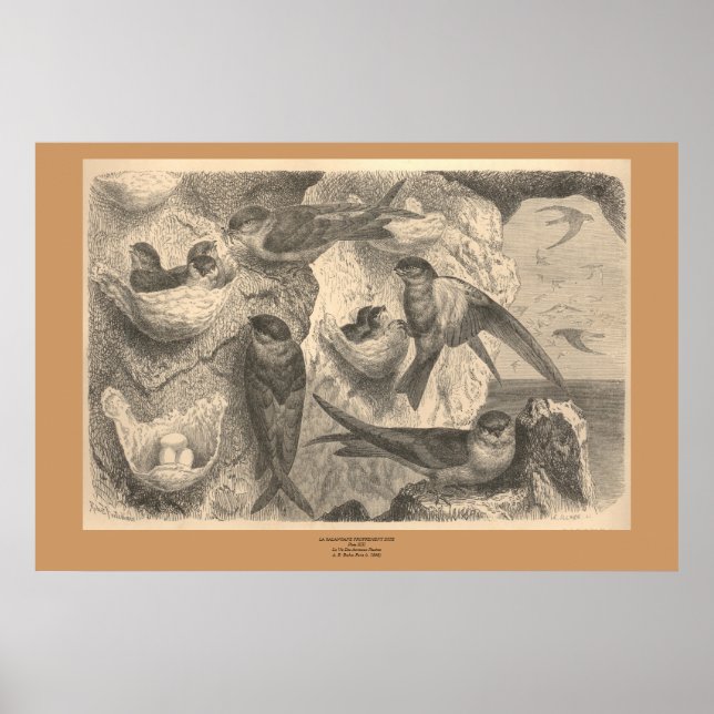 Die Klippe verschluckt Poster (Vorne)