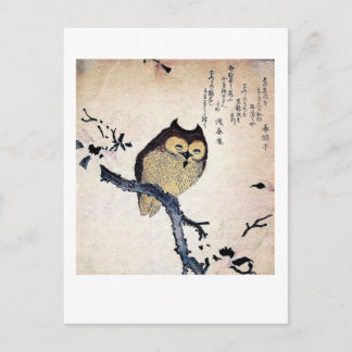 Die kluge alte Eule Postkarte