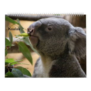 Die Koalas Kalender