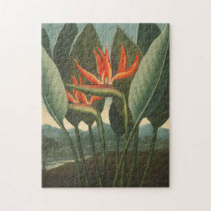 'Die Königin (Paradiesvogel)' Puzzle
