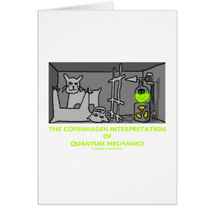 Die Kopenhagen-Interpretation von