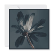 Die köstlich dunkle Blume