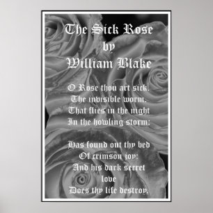 Die kranke Rose, William Blake, gotische Rose Poster
