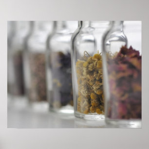 Die Kräuter, die eine Glasflasche enthält Poster